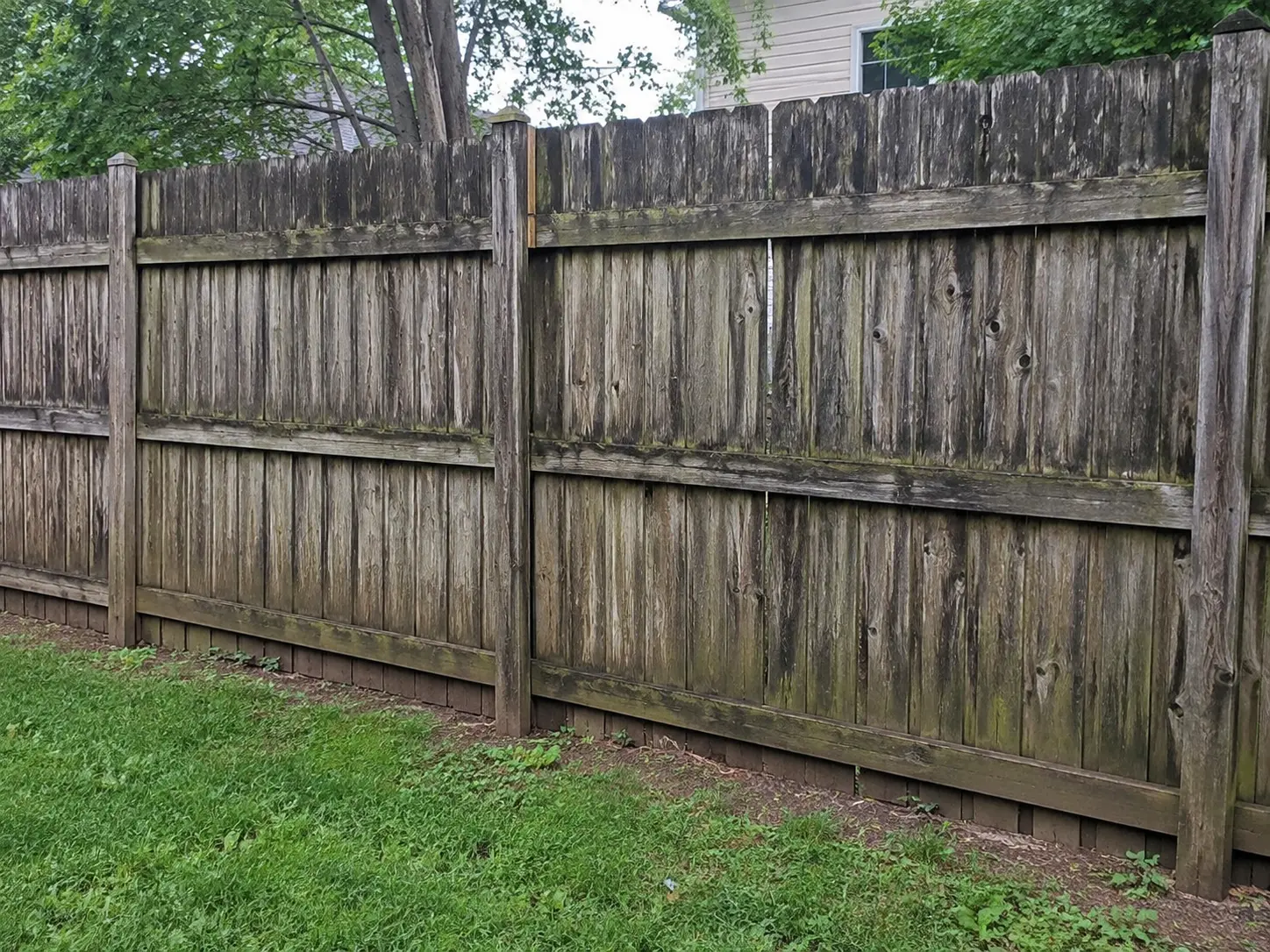 Fence Washing before cleaning